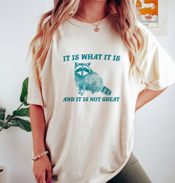 It Is What It Is 2